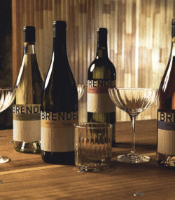 Brendel Young Leon Frizzante, Everbloom Sauvignon Blanc, Chorus Cuvee Blanc and Chorus Cuvee Rouge bottles on table with coup glasses