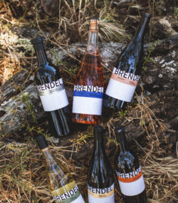Full range of Brendel wines nestled among log and grass