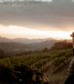 Matt Taylor looks out over Ink Grade Howell Mountain vineyards at sunrise, color, 2022