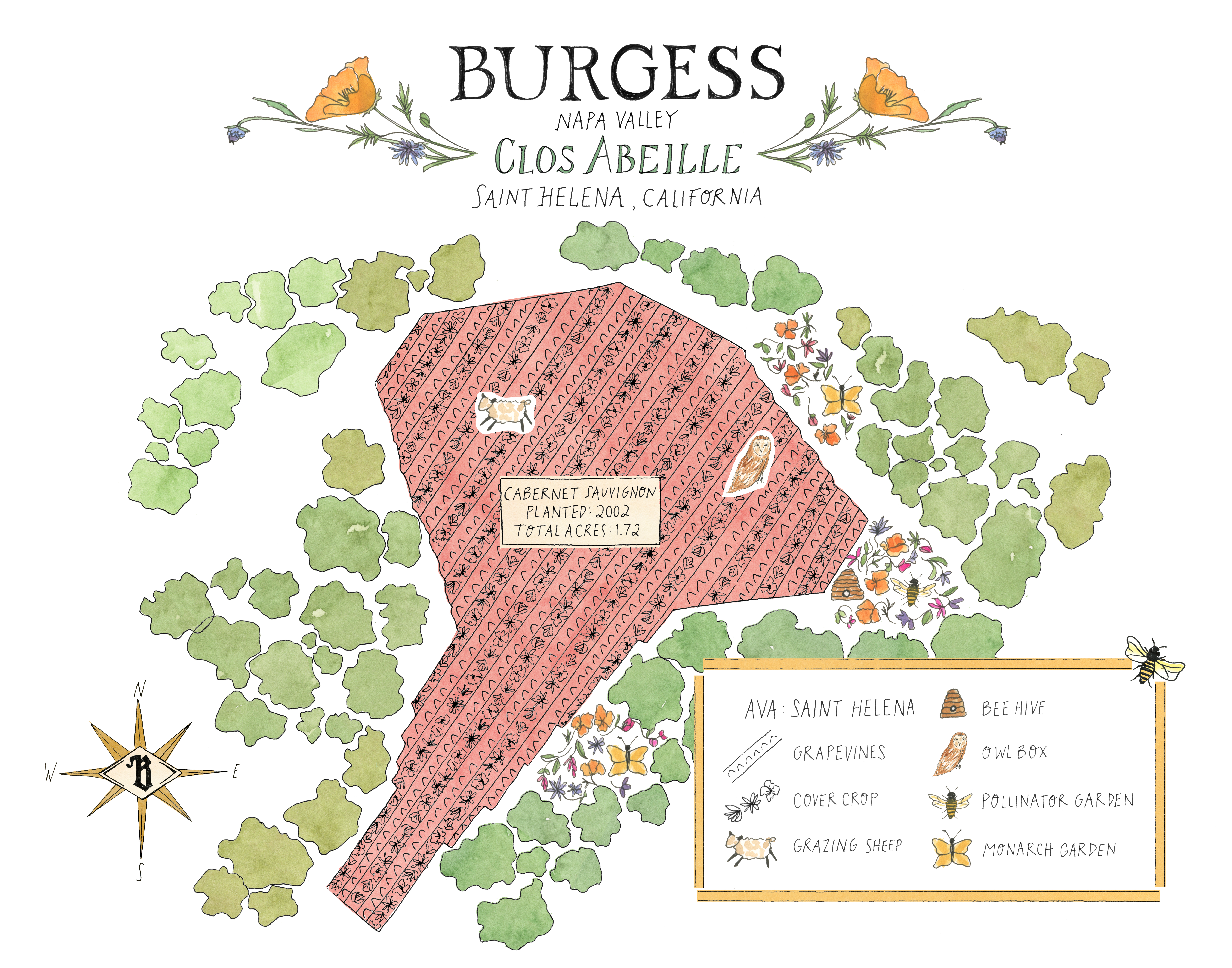 Illustrated map of Burgess Clos Abeille vineyard