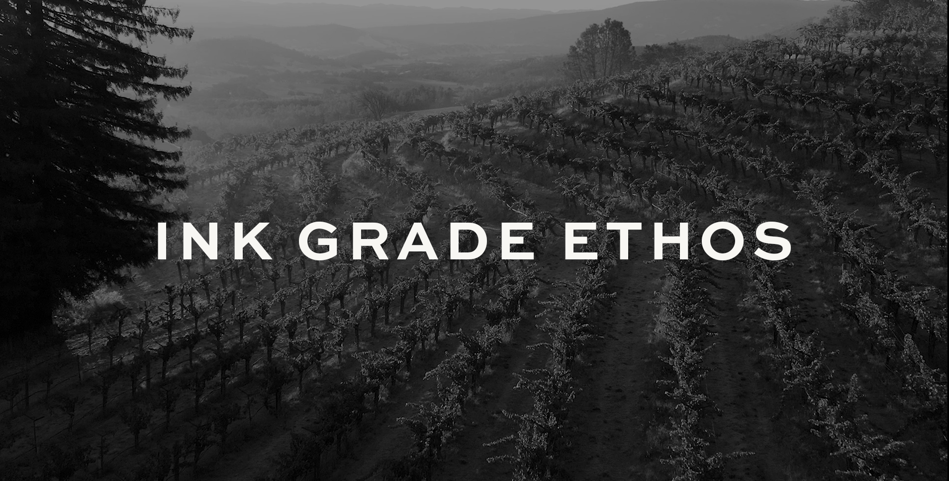 Black and white steeply inclined vineyards with text Ink Grade Ethos superimposed