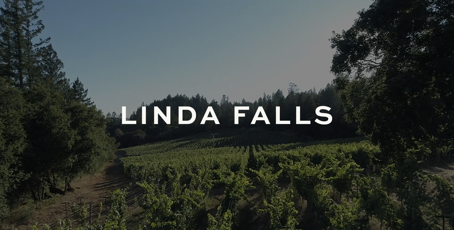 vineyard rows with blue sky with text Linda Falls Superimposed