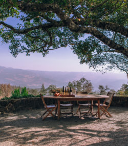 Stony Hill tasting room patio with overhanging tree and view of spring mountain