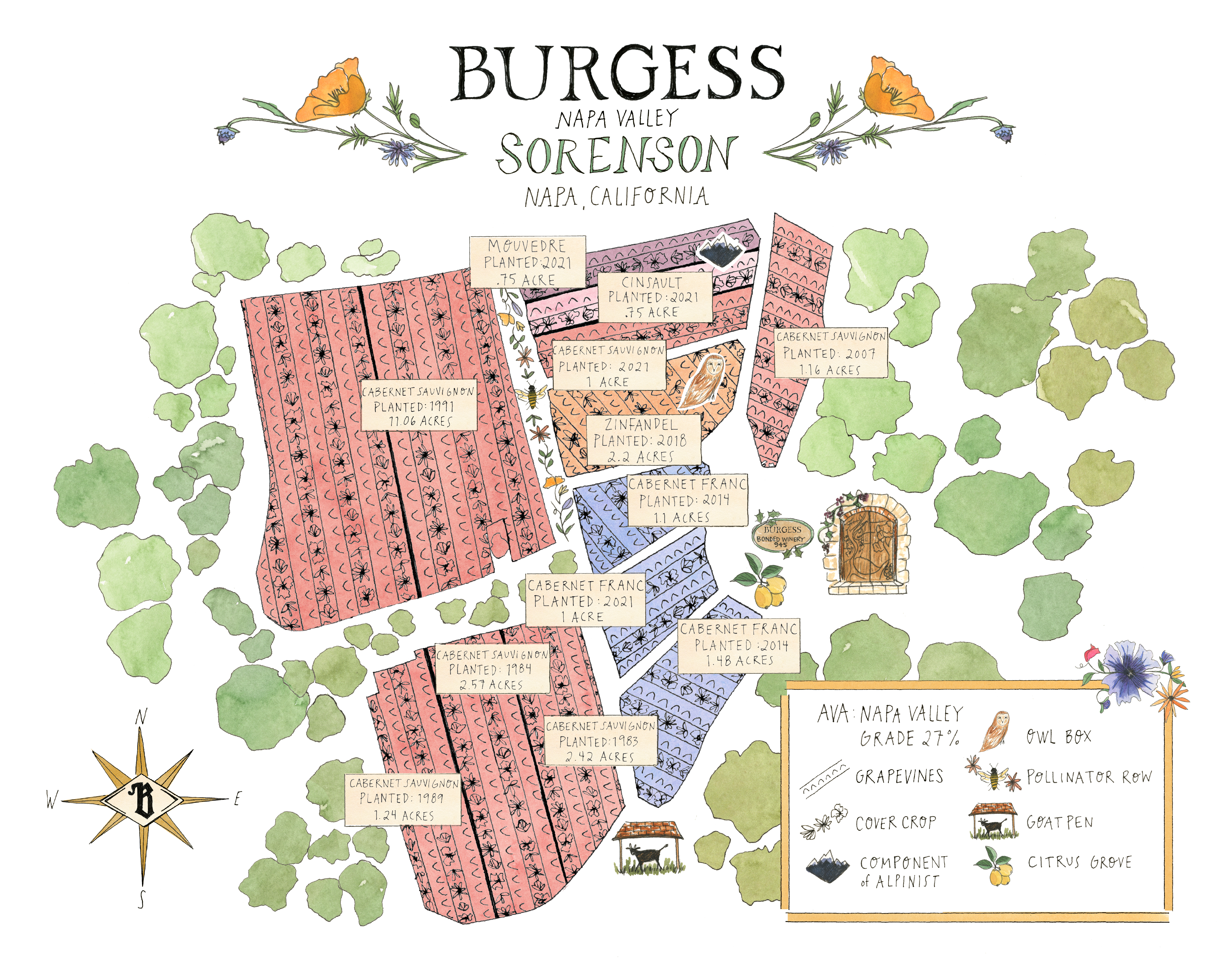 Illustrated map of Burgess Sorenson Vineyard