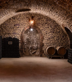 Legras et Haas cellar with bottles
