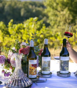 Ink Grade Howell Mountain Wines with decanters and glasses on table in vineyard, Matt Taylor swirls glass in background