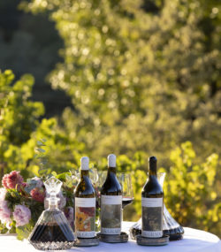 Ink Grade Howell Mountain wines on table with decanters and glasses with vineyard background
