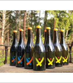 Photo of three bottles Komorebi Vineyard Pinot Noir and four bottles Komorebi Vineyard Chardonnay on a table in the vineyard