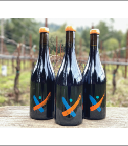 Three bottle of Komorebi Vineyard pinot noir on table in vineyard
