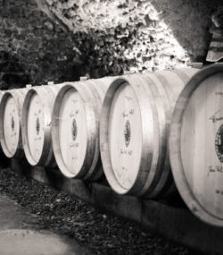 Logo branded barrels in Roc de l'Abbaye cellar