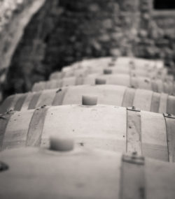 Sealed barrels in Roc de l'Abbaye cellar