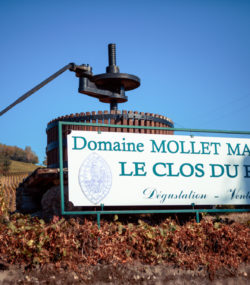 Domaine Mollet Maudry Le Clos du Roc sign surrounded by autumn vineyards