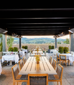 Heitz Cellar tasting salon back patio with view of vineyards