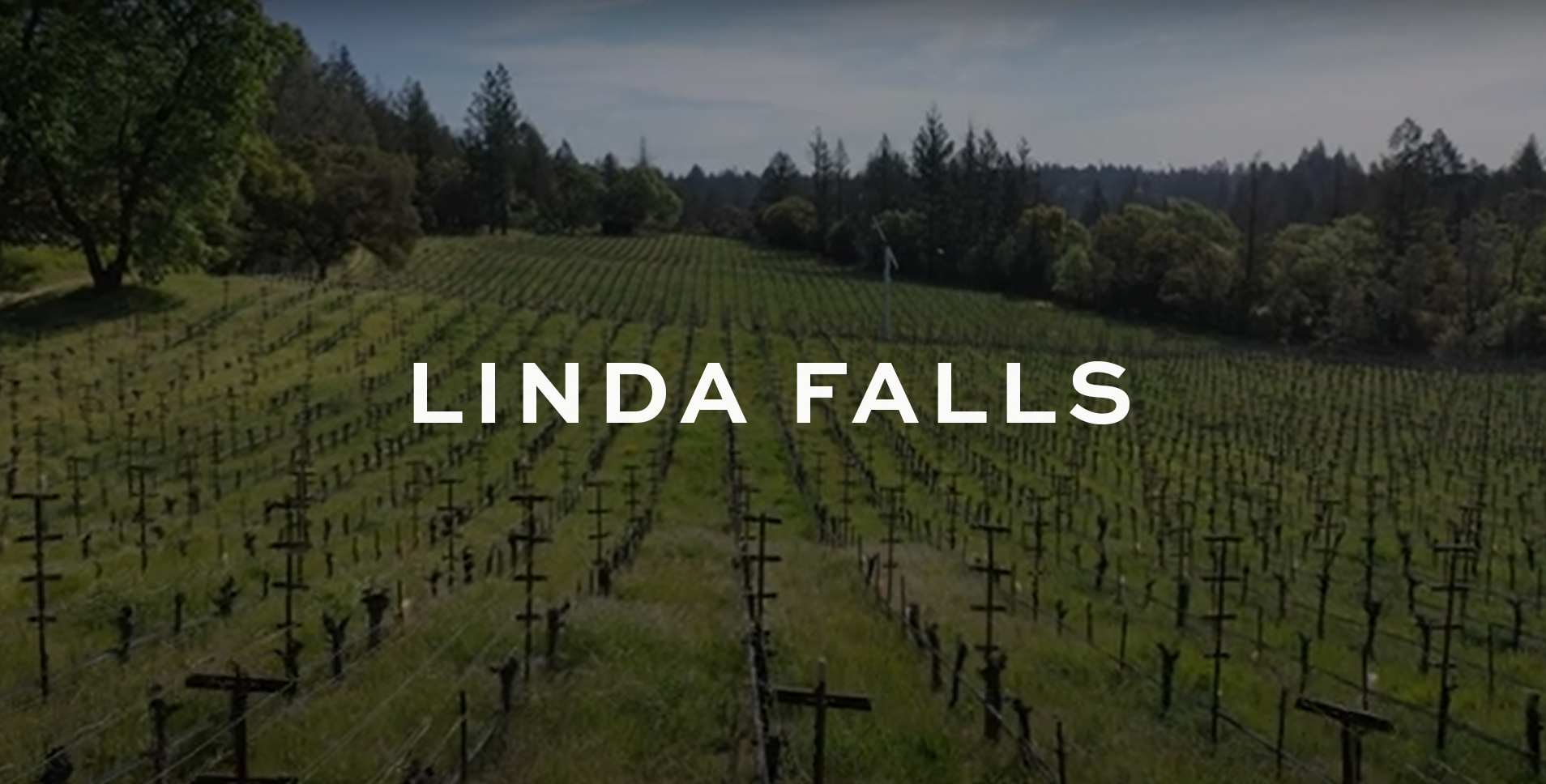 Heitz Cellar Howell Mountain Linda Falls Vineyard with text "Linda Falls" overlayed