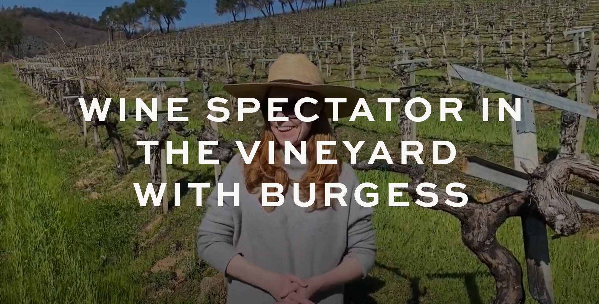 Wine Spectator in the Vineyard with Burgess Video Thumbnail