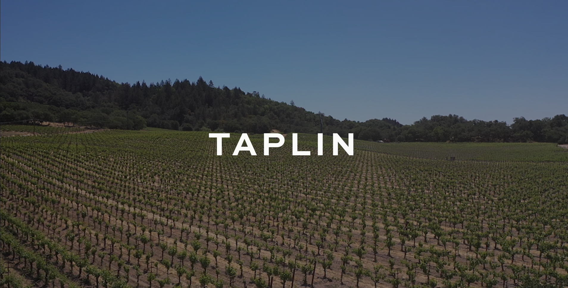 Heitz Cellar Taplin Vineyard with text "Taplin" overlayed
