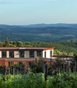 Castello di Fonterutoli modern winery facility