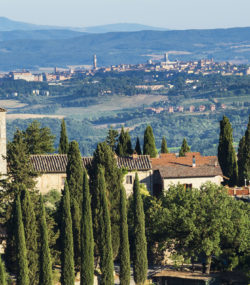 Castello di fonterutoli estate and trees