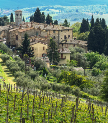 Castello di fonterutoli vineyards in the foreground and estate buildings in the background