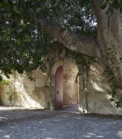 Tree overhanging arched doorway at Zisola estate in Sicily