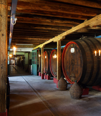 Cellar at Villa Marcello with large barrels and foudre