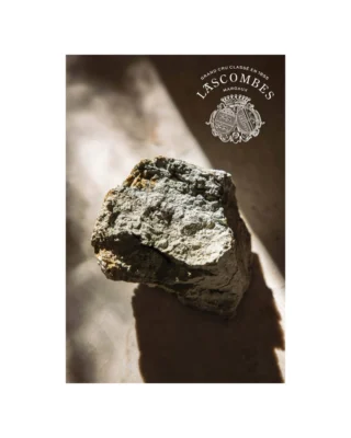 We’re proud to introduce the 2022 La Côte Lascombes, a striking Merlot-based wine from the historic @chateau_lascombes. Crafted from a few small vineyard blocks planted on clay-limestone soils, this wine offers a fresh lens on Margaux and its potential for Merlot. This inaugural release captures the vibrant character of the 2022 vintage with energy, elegance, and a distinct sense of place.

As @vinousmedia notes: “The 2022 La Côte Lascombes is a new Merlot-based wine from Lascombes. It emerges from a few small blocks planted on clay/limestone soils that are very different from the gravelly soils that are more common on the château’s holdings. Plump, juicy, and seductive, the 2022 is a total charmer. Silky contours wrap around a core of pliant red/purplish-toned fruit. Sweet spice, flowers, mocha, and a discreet touch of oak add layers of dimension as this opens over time. What a beautiful and promising wine it is.”

Learn more about Château Lascombes through the link in our bio.