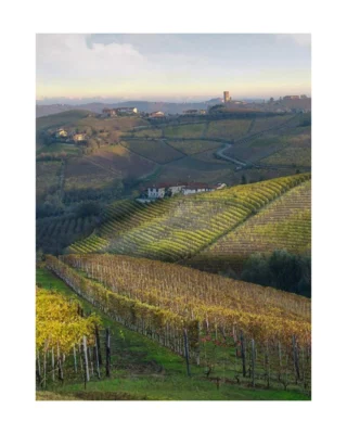 For @carome.winery, a family-run estate rooted in tradition and terroir, the 2019 vintage is a true expression of place. With vineyards inherited through generations and a winemaking philosophy centered on balance and longevity, the Marengo family continues to craft Barolo with integrity and intent.

"Growers are calling 2019 a classic vintage in terms of the growing season, primarily based on the delayed start and mid-October harvest, patterns not seen in the three vintages that preceded 2019, nor in the years that have followed it.” – Bruce Sanderson, @wine_spectator. 

The 2019 Barolo Cerretta comes from vines planted in 1961, while the 2019 Barolo Rapet is sourced from a neighboring parcel planted in 1972. These single-vineyard wines reflect the structure, depth, and aging potential that define Cà Romé’s approach to Nebbiolo.

Learn more about Cà Romé and explore all of our Spring Icon offering wines through the link in our bio.