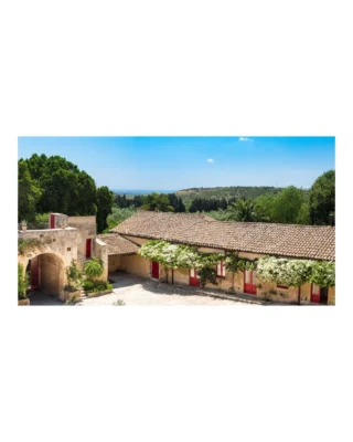 Wrapping up our Spring Icon offering spotlights is Zisola, the Mazzei family’s estate in southeast Sicily near the UNESCO World Heritage site of Noto. With 50 hectares of citrus, almond, and olive groves and 24 hectares of traditional alberello-trained Nero d’Avola vines, Zisola combines rich heritage with certified organic farming focused on biodiversity and soil health.

The 2018 Doppiozeta, Zisola’s flagship Nero d’Avola, comes from three distinct vineyard plots and is made with natural fermentation and no filtration. It’s a bold yet elegant wine, bursting with fruit, spice, and refined texture—a true reflection of centuries of Mazzei winemaking expertise.

Thanks for following along with our Spring Icon offering spotlights. Discover Zisola and all the featured wines through the link in our bio.