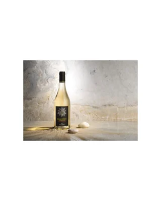Belguardo’s Vermentino thrives near the Tyrrhenian Sea, grown in carefully tended estate vineyards at the base of hillside slopes between Grosseto and Montiano. This coastal location brings out the varietal’s vibrant, mineral-driven character. On the nose, bright aromas of exotic fruits, yellow peach, and citrus lead to a dry, sapid, and beautifully mineral palate.

Crafted by the renowned @marchesimazzei family, whose winemaking legacy spans over 600 years, Belguardo reflects their dedication to expressing the unique terroir of the Tuscan coast. Discover the distinctive notes of this native varietal and the passion behind every bottle. Link in bio to learn more.