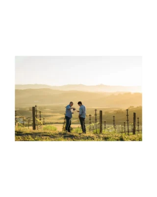On #NationalPinotNoirDay, we’re raising a glass to some of the finest expressions of this varietal in the Demeine Estates portfolio. From @haynesvineyardnapa - one of Coombsville’s most historic vineyard sites - to the beautifully crafted @matt_taylor_wines from Sonoma Coast’s Komorebi Vineyards, and the complex flavors of @racineswine from Sta. Rita Hills - each wine showcases the artistry and dedication that goes into crafting exceptional Pinot Noir. 

Celebrate with us by discovering the unique stories and terroirs behind each bottle. Link in bio to learn about more of our Pinot Noirs and our full portfolio.