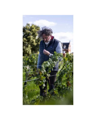 At the entrance to Margaux, @chateau_lascombes has long stood as one of the Médoc’s great Second Growth estates. Under the direction of winemaker Axel Heinz, the estate is entering a bold new chapter that honors its heritage while embracing innovation.

Our Fall Icon Offering's Spotlight wine features La Côte Lascombes 2022, described by Antonio Galloni of @vinousmedia as “an audacious new wine…  beautiful and promising.” Crafted from 100% Merlot grown on rare blue clay soils, La Côte represents a striking new perspective from this historic property.

Stay tuned later this month as we share more on La Côte Lascombes, and learn more about our Fall Icon Offering through the link in our bio.