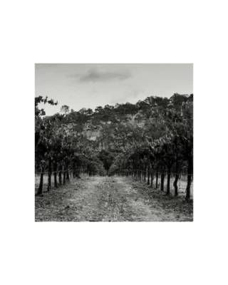@trailsidevineyard is a single-vineyard Rutherford Cabernet Sauvignon created by Carlton McCoy Jr. MS and Jeremy Seysses of Domaine Dujac. With the inaugural 2022 vintage, they crafted a terroir-driven wine that honors Napa Valley’s glory days of the 1960s and 1970s. In classic Dujac style, Seysses incorporated whole clusters and a submerged cap in fermentation, a calculated risk that brings precision, depth, and balance to this historic site.

Sourced from a pedigreed vineyard on Rutherford’s east side, once a source for Heitz Cellar, the 2022 Trailside Cabernet Sauvignon is 100% Cabernet, farmed, harvested, and fermented according to each of its seven soil types, and aged across barrique and foudre to reveal its full complexity. Floral and fresh, yet densely flavored, this inaugural release offers both immediate appeal and long-term cellar potential. Discover more about this wine through our 2025 Fall Icon Offering. Link in bio.