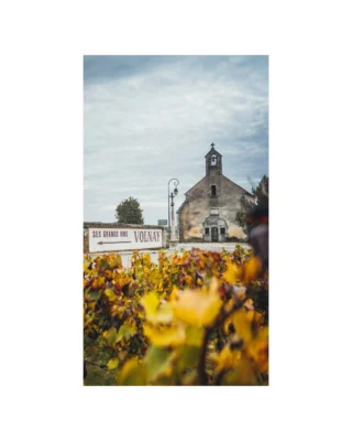 In this Fall Icon Offering spotlight, we’re featuring the 2022 vintage from @domainemontille. With roots in Volnay dating back to the 17th century and winemaking beginnings in 1750, the family has built its reputation on patience, precision, and a deep respect for Burgundy’s greatest terroirs.

Under the leadership of Étienne de Montille, the domaine has become a benchmark for both tradition and innovation - farming organically and biodynamically, crafting wines with whole-cluster fermentations, long macerations, and restrained oak to preserve elegance and ageability.

The 2022 vintage captures this philosophy in its purest form: Pinot Noir that is vibrant and seductive, with racy energy, lifted aromatics, and silky tannins that promise both immediate charm and long-term potential.

Explore Domaine de Montille’s 2022 collection in our Fall Icon Offering. Link in bio.