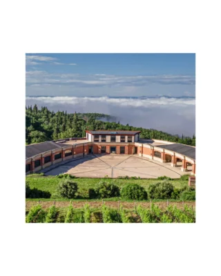 In this Fall Icon Offering spotlight, we’re proud to feature @marchesimazzei 
. Established in 1435 and among Tuscany’s oldest wine dynasties, their estate in Fonterutoli has shaped the legacy of Chianti Classico for 25 generations. For more than six centuries, they have cultivated these hills with a steadfast dedication to innovation, sustainability, and balance.

The 2022 Concerto di Fonterutoli, one of the first ten wines that built the legend of the Super Tuscans, marks a historic turning point in Italian winemaking. The 2021 Castello Fonterutoli Chianti Classico Gran Selezione captures the estate’s essence through Sangiovese from multiple clones and massal selections, while the 2018 Siepi - recognized by @gambero_rosso as one of fifty wines that changed Italian winemaking - combines Sangiovese and Merlot from one of Italy’s oldest recorded vineyards.

Each wine reflects the Mazzei family’s enduring commitment to expressing the full richness, balance, and complexity of Chianti Classico. Discover more about our Fall Icon Offering - link in bio.