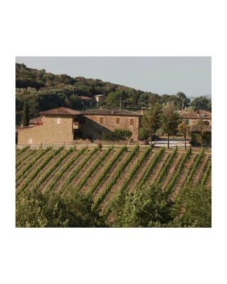 As part of our Fall Icon Offering, we’re featuring @pertimalisassetti - a family with four generations of vineyard heritage in Montalcino. Founded by Livio Sassetti in 1967, the estate includes the renowned Montosoli vineyard, now producing benchmark Brunello, and expanded holdings in La Querciolina. Today, Lorenzo and Sabina Sassetti continue the legacy, farming organically and biodynamically, hand-harvesting every grape.

The 2019 Brunello di Montalcino DOCG Mulino is harmonious and vibrant with a long, fruit-filled finish, while the 2019 Riserva offers concentrated fruit with balancing acidity and a lingering sour cherry finish. Each wine reflects the family’s dedication to freshness, classical style, and the essence of Montosoli. Discover more - link in bio.