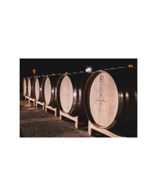 @legras_haas has been crafting exceptional Champagnes rooted in their family’s generations of grape-growing in the Grand Cru vineyards of Chouilly and other outstanding terroirs. Their Blanc de Blancs cuvées are 100% estate-grown from Chouilly, while the Intuition Brut NV and Intuition Rosé Brut NV blends combine estate fruit with grapes from long-time partners in Aÿ and Leuvrigny, resulting in wines that are aromatic, graceful, and retain poise and freshness while developing complexity and depth with age.

Now, Legras & Haas is entering an exciting new chapter. With refreshed designs and evocative names, each bottle reflects the care, intention, and passion behind every wine - a celebration of terroir, craftsmanship, and the art of Champagne. Learn more about this incredible portfolio through the link in our bio.