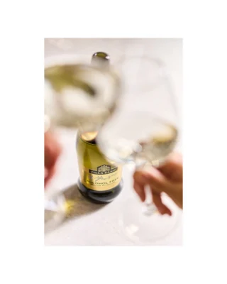 “While wine currently accounts for just 11.2 percent of all non-alcoholic beverages, both NielsenIQ and IWSR find its share growing apace . . . But the story is as much about quality as quantity.” - Shanken News Daily, January 5th
The first Dry January of @villasandi Alcohol Free is coming to a close, but the demand for quality-driven non-alcoholic options is just getting started. According to Nielsen, 92 percent of non-alcohol buyers also purchase alcohol-containing products. Villa Sandi leads with authenticity in the category, de-alcoholizing using vacuum distillation to preserve the aromatic and organoleptic profile. The result is fresh and inviting, with classic notes of apple, white peach and a hint of elderflower, and has made a splash debuting in the growing segment.