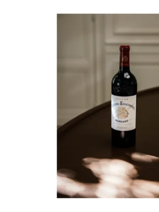 We’re kicking off March in style as we embark on a week of events with our partners across the country! On March 2nd, @heitzcellar , @inkgradeestate , @chateau_lascombes and @marchesimazzei are presenting at @james.suckling Great Wines of the World New York, followed by @borgoconventi and @poderiboscarelli on March 3rd. While our partners at Mazzei continue down to Miami to join James Suckling there on March 5th, Borgo Conventi, @villasandi and Boscarelli will be staying in New York to present at @trebicchieri_ Gambero Rosso. The week concludes on the west coast, with @champagne_philipponnat popping corks at James Suckling Great Wines of the World San Francisco!