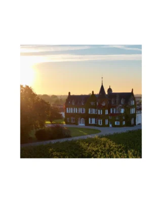 The 2026 Fall Icon Offering brings together a collection of exceptional wines from some of the world’s most respected producers across the United States, France, and Italy.

From historic vineyards and distinctive terroirs to highly regarded estates and limited-production cuvées, this year’s offering reflects a shared commitment to craftsmanship, heritage, and a true sense of place. Each selection offers a unique expression of its origin, showcasing the character, tradition, and meticulous attention to detail behind some of the world’s most sought-after wines.

Whether rooted in generations of winemaking history or representing a distinctive modern expression of place, these wines have been thoughtfully selected to highlight the depth and diversity of each portfolio.

Explore the 2026 Fall Icon Offering and discover the wines selected for the season. Link in bio.